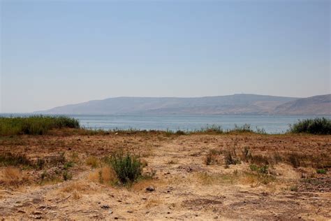 Reeds Around The World Nazareth And The Sea Of Galilee