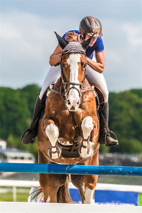 A Quick Ride Through The History Of Horseback Riding Sports Aspire