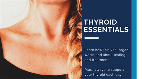 Thyroid Essentials How This Vital Organ Works Schoenwalder Health