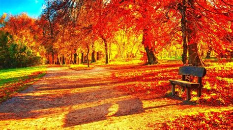 Hd Flower Images Landscapeautumn Landscapes Color Forest Nature