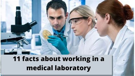 Medical Laboratory Science Career Definitions Know More About Your