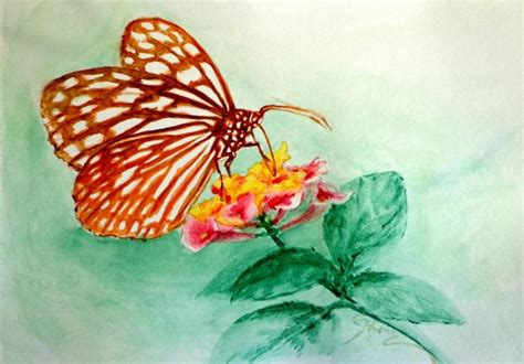 Butterfly On Flower Nature Drawings Pictures Drawings Ideas For