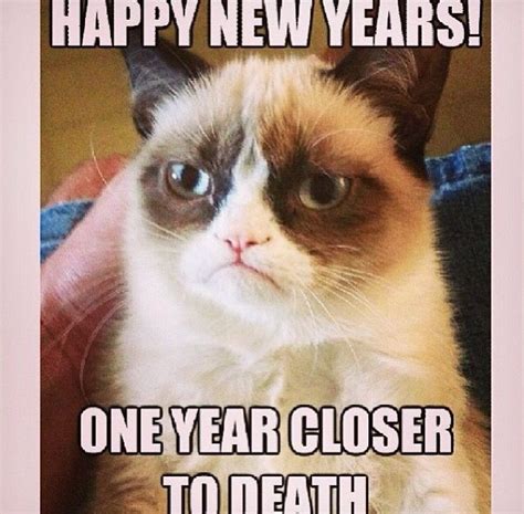 Grumpy Cat Happy New Years One Year Closer To Death