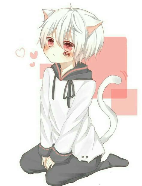 Pin By 도연 김 On Images（ΦωΦ） Anime Cat Boy Cute Anime Chibi Anime Chibi