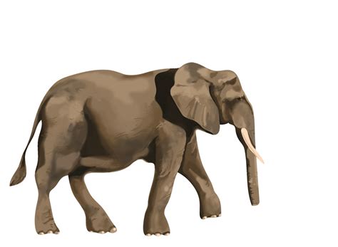 23 Gambar Animasi Gajah 