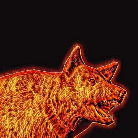 Fire Wolf Free Stock Photo Public Domain Pictures