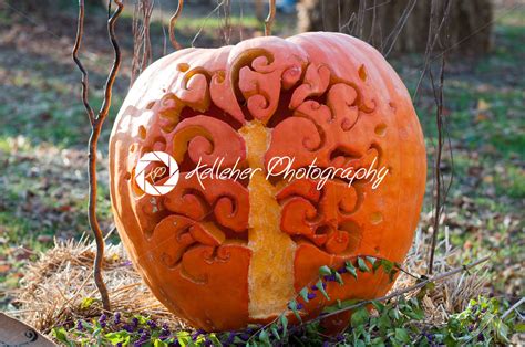 Chadds Ford Pa October 26 Tree Pumpkin At The Great Pumpkin Carve