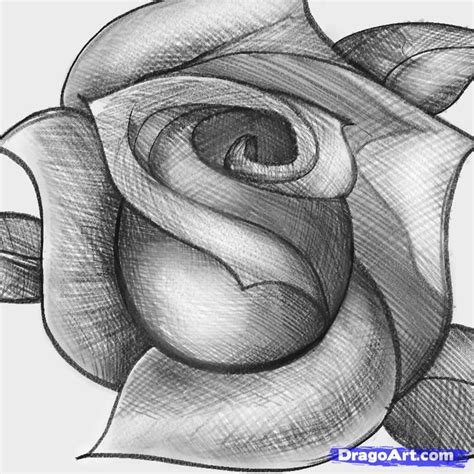 Paso 1 La forma más fácil para empezar a dibujar una rosa es hacer un