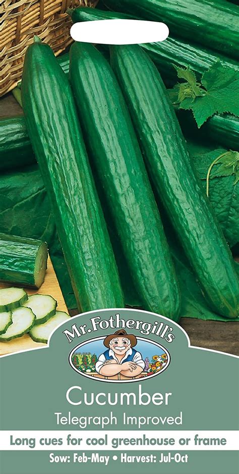 Mr Fothergills Pictorial Packet Vegetable Cucumber Telegraph