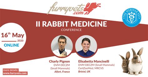 Ii Rabbit Conference Online