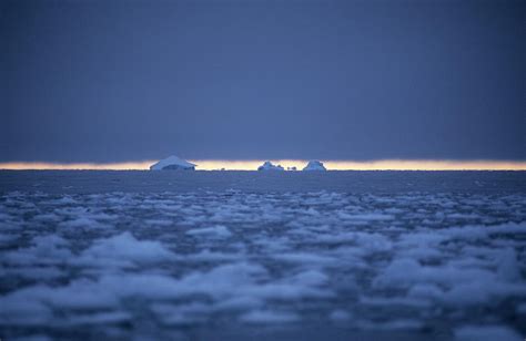 West Greenland Icebergs In Disko Bay Photograph By Marc Steinmetz