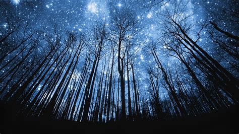 Download Starry Night Sky Hd Wallpaper 1080p By Mstone Night Sky