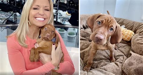 Dana Perinos Adorable Puppy Hopes To Be The New Americas Dog