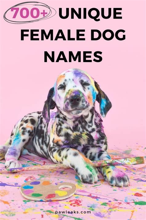 700 Unique Female Dog Names For 2023 Puppy Names Unique Cute Girl