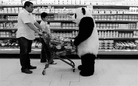 Grocery Store Panda Animated Funny  Hilarious Cool S