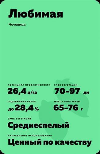 Диеты чечевица отзывы Любимая - чечевица. Характеристики и отзывы Любимая - чечевица. Характеристики и отзывы Диеты чечевица отзывы