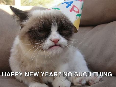 Grumpy New Year Happy New Year No Such Thing Grumpy Cat Birthday