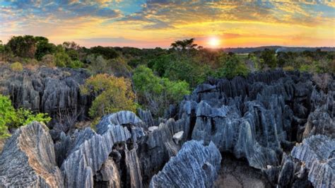 Madagascar Travel The Pinnacle Of Wildlife Tourism