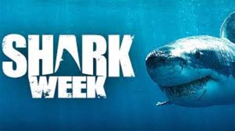 Shark Week Swims Off July On Discovery With Most Hours Of Shark