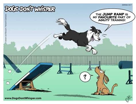 Pin By Luvpuli On Agility Humor Dogs Dog Behavior Cartoon