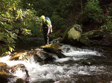 Missing Hiker Mitzie Sue Clements Is Smokies 11th Death This Year