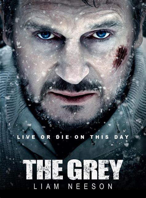 A gray state is a 2017 documentary film directed by erik nelson and executive produced by werner herzog, first broadcast on the a&e network. The Grey DVD Release Date May 15, 2012