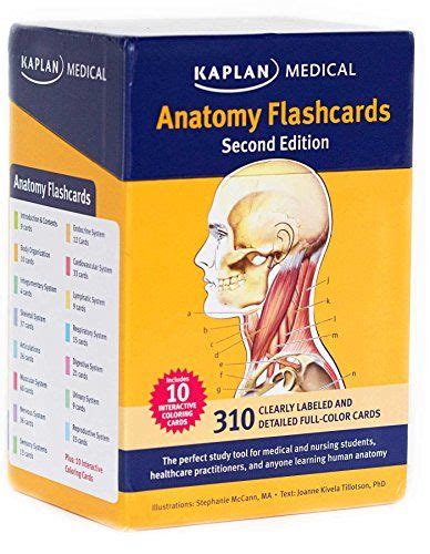 anatomy flashcards pa school medical school nursing school school books anatomy coloring
