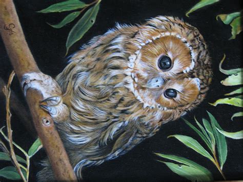 However, this one has a heart shape to it that is very endearing. Hoot The Barn Owl Painting by Shirley C Checkos