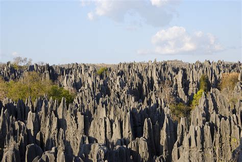 Mineral formations are located at a distance of 80 km from the beaches. How Did Madagascar's Stone Forest Form? | Wonderopolis