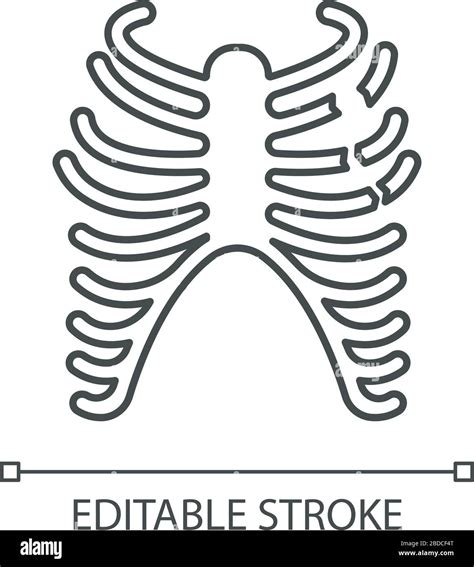 Rib Fracture Pixel Perfect Linear Icon Chest Injury Broken Bones