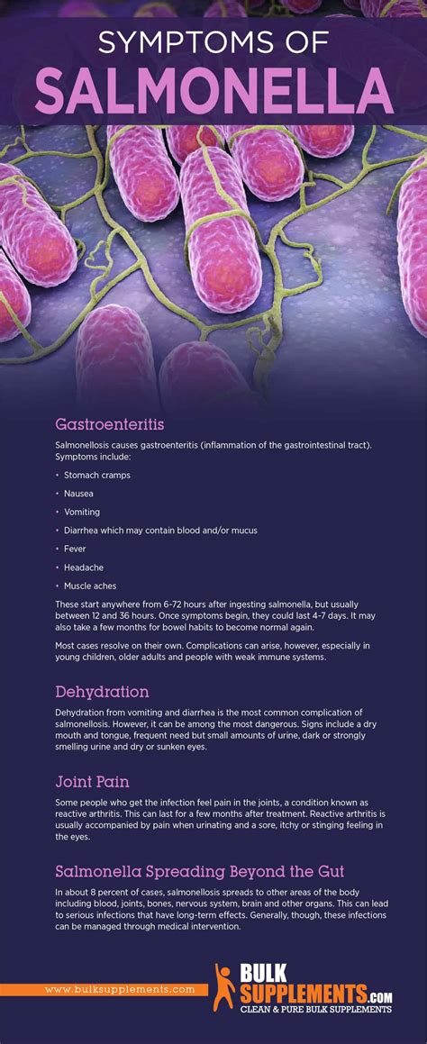 Salmonella Salmonellosis Symptoms Causes And Treatment