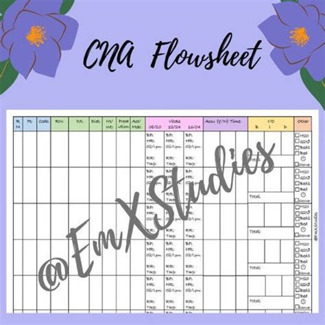 Cna Flowsheet Etsy
