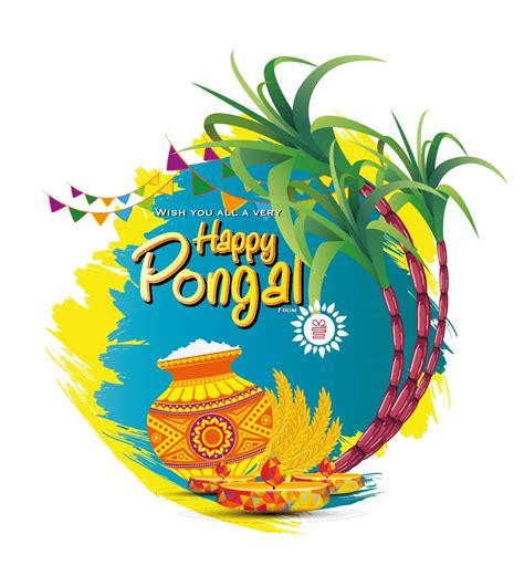 Wish You All A Happy Pongal Happypongal2019 Teamigp Happy Pongal