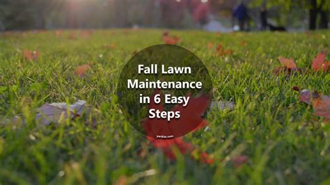 Fall Lawn Maintenance In 6 Easy Steps Main 3 1920×1080