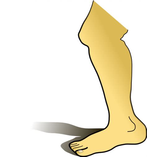 Clipart Leg Right And Other Clipart Images On Cliparts Pub™