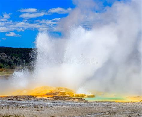 Erupting Geyser Yellowstone National Park Stock Image Image Of