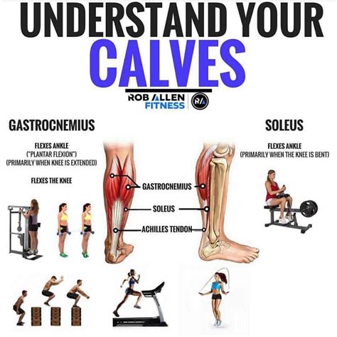 🐄understand Your Calves🐄 Follow Roballenfitness For More Fitness