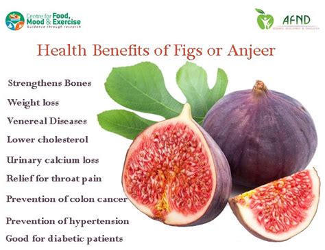 It is the fruit of the fig tree (focus), a member of the mulberry family, commonly found in asia. Why should we eat anjeer? | Fig plant, Figs benefits ...