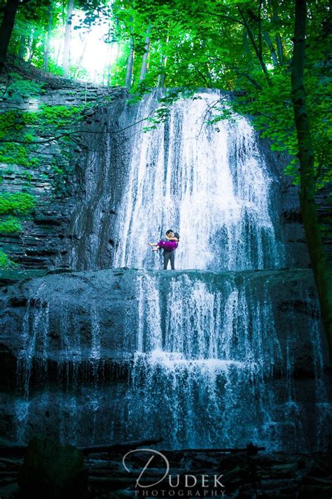 10119 queens blvd, forest hills, ny, 11375|chinese, vegetarian, lunch, asian. chinese waterfalls | lismore rd forest hill frybrook rd ...