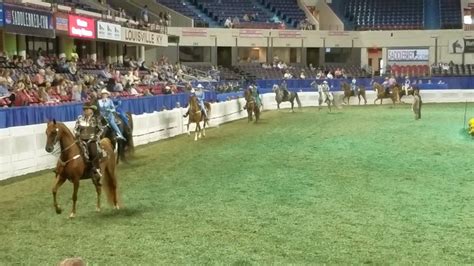 The Western Pleasure Class The American Saddlebred Blog