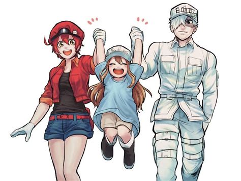 A ditzy red blood cell who has just started her job, delivering oxygen, carbon dioxide, and. White Blood Cell x Red blood Cell & Platelet || Hataraku ...