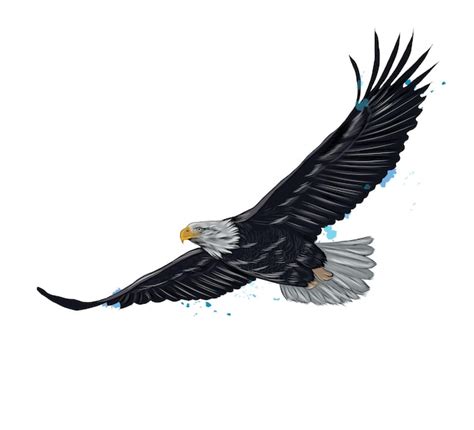 Premium Vector Flying Bald Eagle From A Splash Of Watercolor Colored