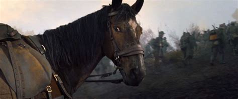 Be the first to contribute! Joey From War Horse Quotes. QuotesGram
