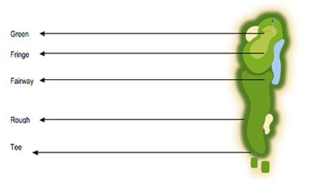 Maintenance for each grass is different too, and each. RumputSintetis.com - Distributor Resmi Domo Sport Grass & ActGlobal Turf untuk Rumput Futsal ...