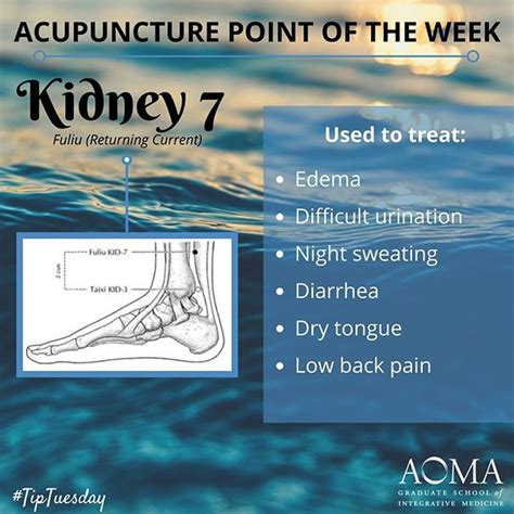 Tiptuesday Acupuncture Point Of The Week Kidney 7 Tcm Aoma