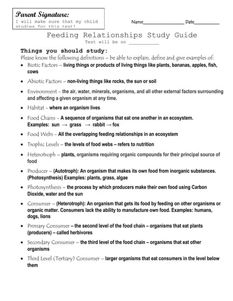 Biology, middle school life science. Food Chains - Study Guide Answer Key