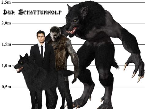 Schattenwolf Derek Hale Real Alpha Werewolf Forms Shadow Wolf