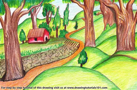 Forest Scene Forest Drawing Drawing Scenery Forest Painting