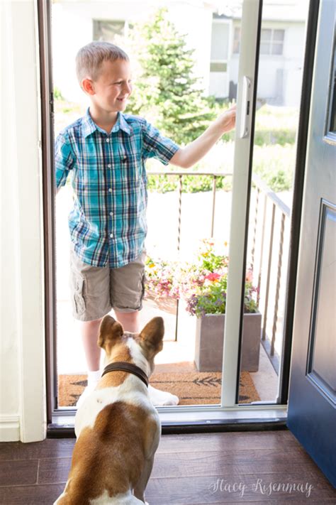 5% coupon applied at checkout. Flies No More {Retractable Screen Door} - Stacy Risenmay