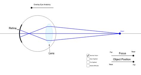 Optics Of The Human Eye Geogebra